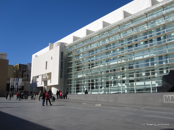 Macba Museum