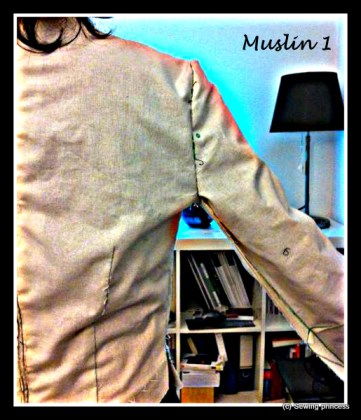 bodice back muslin 1-raised