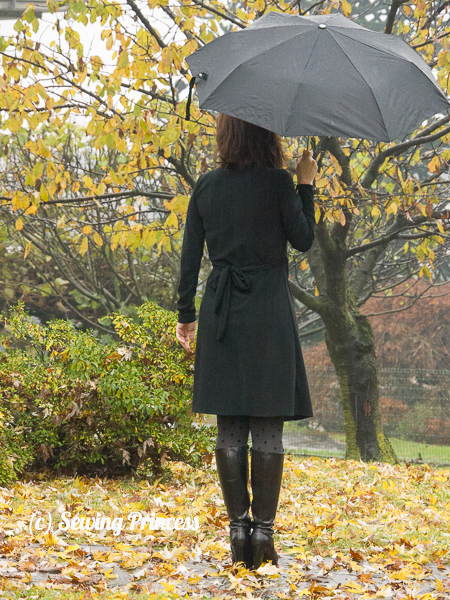 stylearc-KATE-DRESS-back