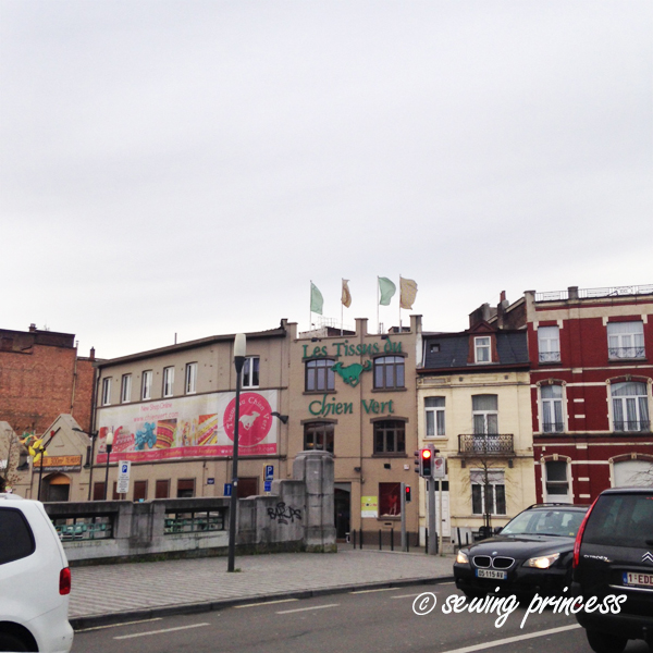 le-chien-vert-bruxelles
